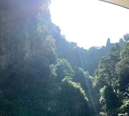 高千穂峡の写真・動画_image_371242