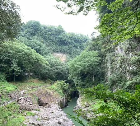 高千穂峡の写真・動画_image_371251