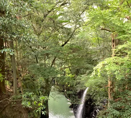 高千穂峡の写真・動画_image_371262