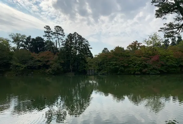 仙洞御所の写真・動画_image_371283