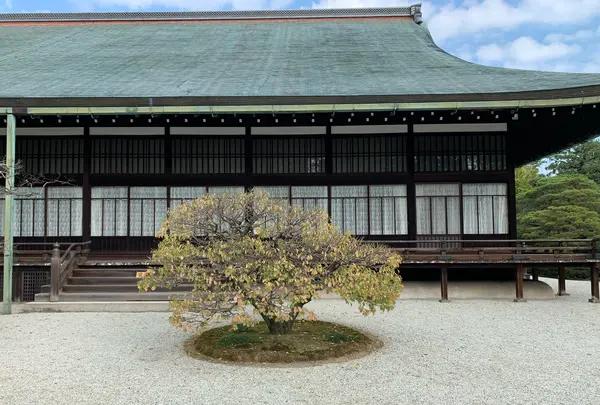 仙洞御所の写真・動画_image_371284