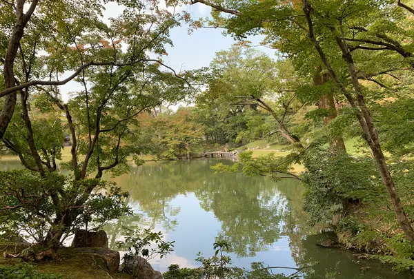 仙洞御所の写真・動画_image_371286