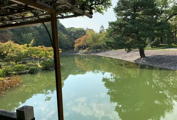 仙洞御所の写真・動画_image_371287