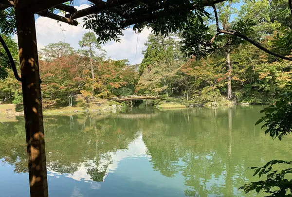 仙洞御所の写真・動画_image_371288