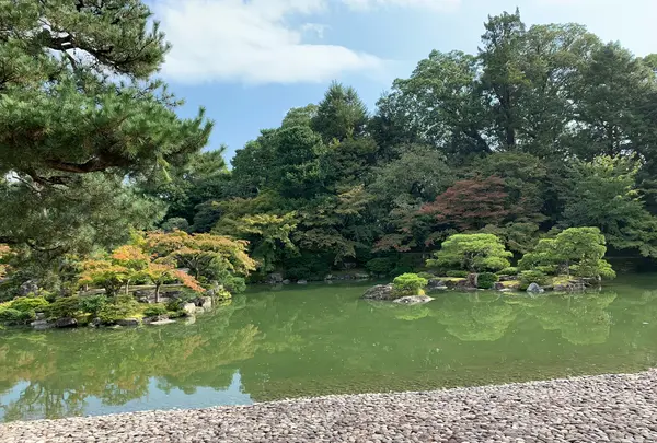 仙洞御所の写真・動画_image_371296