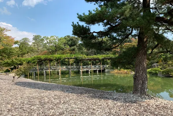 仙洞御所の写真・動画_image_371297