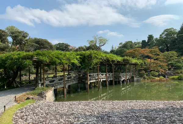 仙洞御所の写真・動画_image_371298