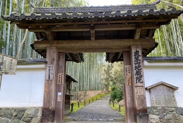 地蔵院（竹の寺）の写真・動画_image_371324
