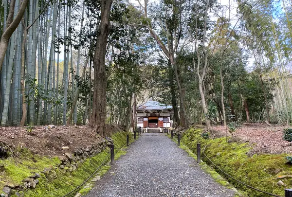 地蔵院（竹の寺）の写真・動画_image_371328