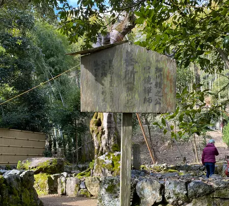 地蔵院（竹の寺）の写真・動画_image_371332