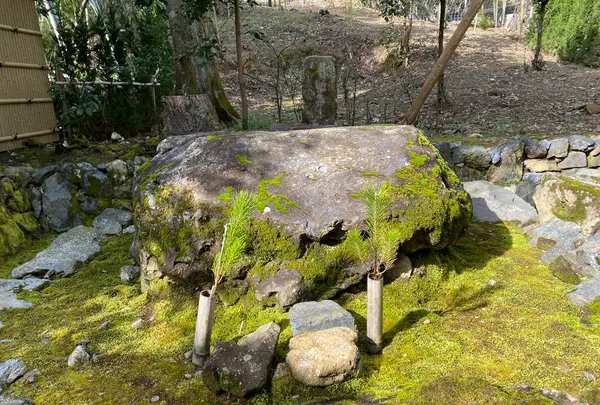 地蔵院（竹の寺）の写真・動画_image_371333
