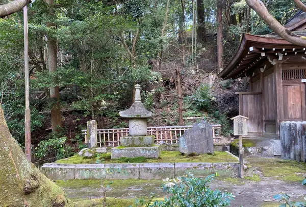 御寺 泉涌寺の写真・動画_image_371351