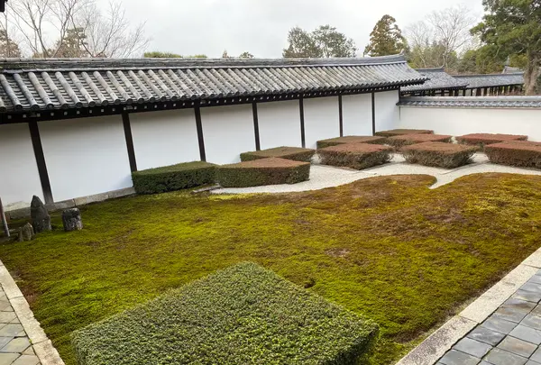 東福寺の写真・動画_image_371362