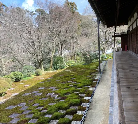 東福寺の写真・動画_image_371364