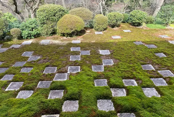 東福寺の写真・動画_image_371365