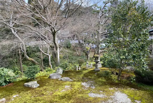東福寺の写真・動画_image_371367