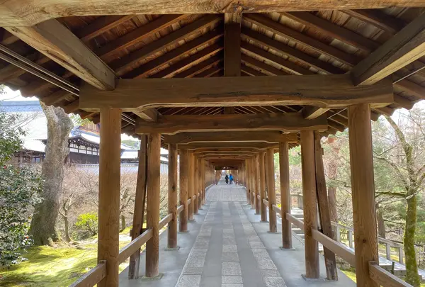 東福寺の写真・動画_image_371371