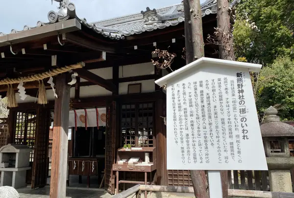 新熊野神社の写真・動画_image_371372