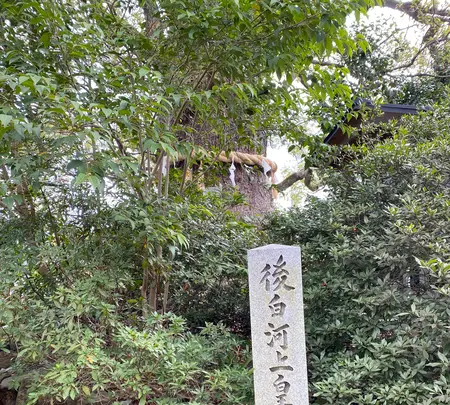 新熊野神社の写真・動画_image_371378