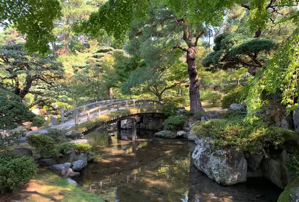 京都御所の写真・動画_image_371403