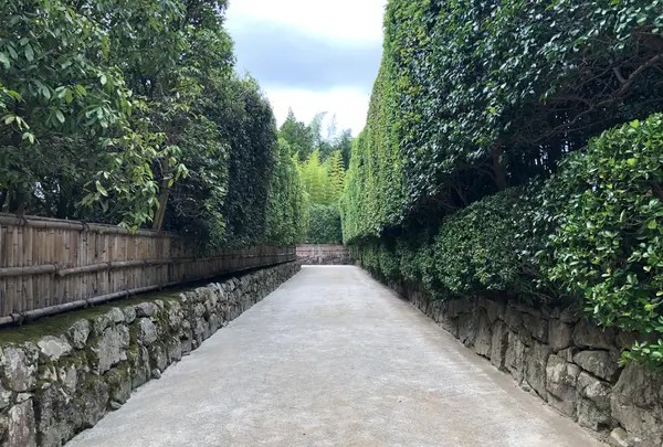 銀閣寺(東山慈照寺)の写真・動画_image_371428