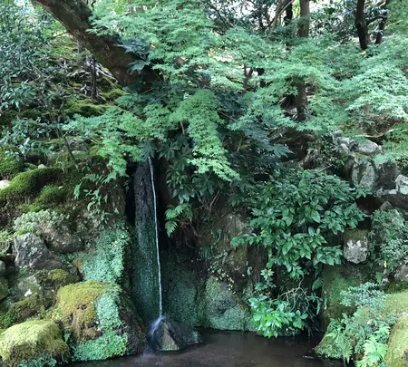 銀閣寺(東山慈照寺)の写真・動画_image_371432
