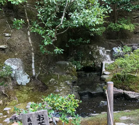 銀閣寺(東山慈照寺)の写真・動画_image_371433