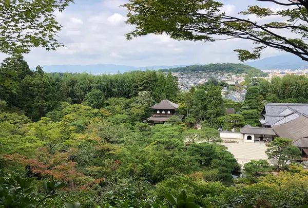 銀閣寺(東山慈照寺)の写真・動画_image_371435