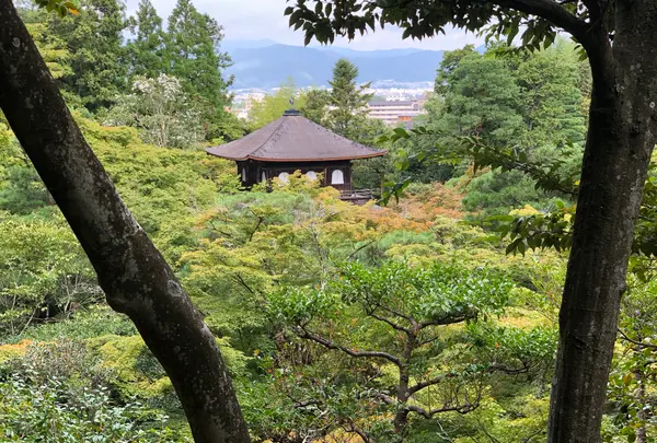 銀閣寺(東山慈照寺)の写真・動画_image_371439