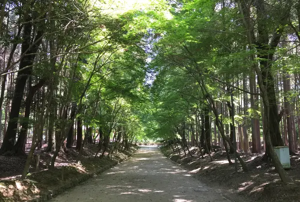 醍醐寺の写真・動画_image_371472