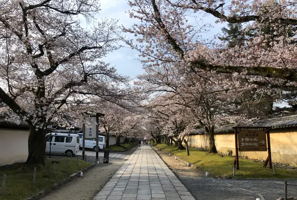 醍醐寺の写真・動画_image_371476