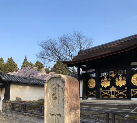 醍醐寺の写真・動画_image_371478