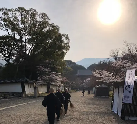 醍醐寺の写真・動画_image_371479