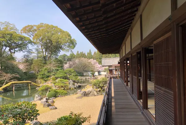 醍醐寺の写真・動画_image_371482