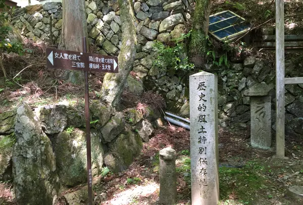 上醍醐寺の写真・動画_image_371502