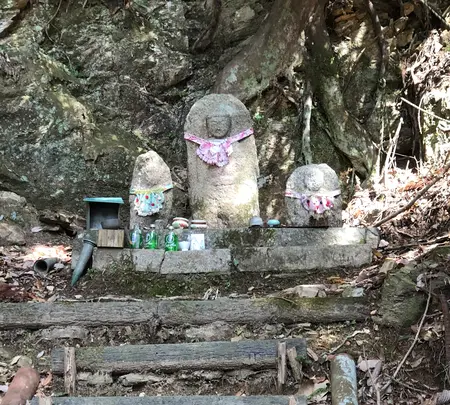 上醍醐寺の写真・動画_image_371504