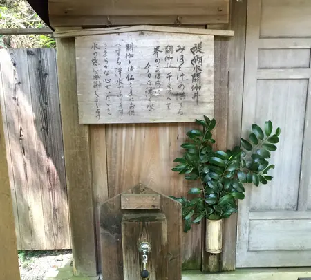 上醍醐寺の写真・動画_image_371510