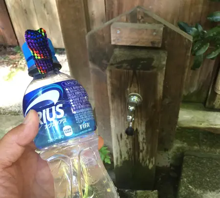 上醍醐寺の写真・動画_image_371511