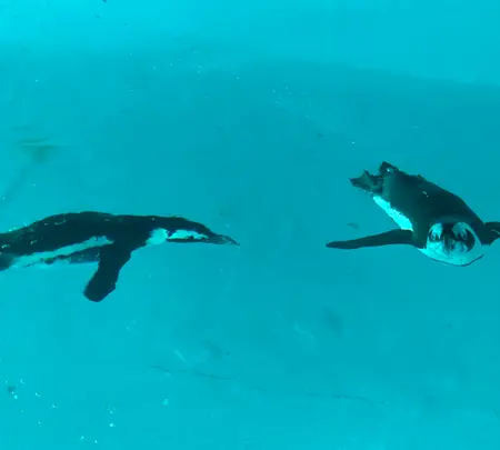 志摩マリンランドの写真・動画_image_371528