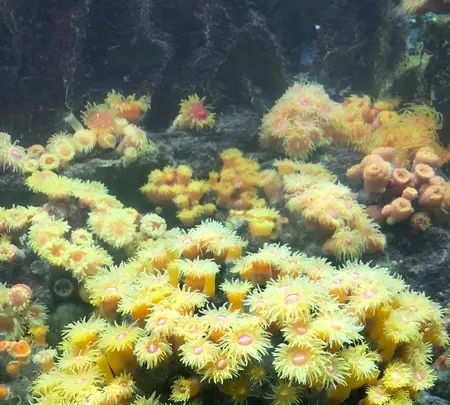 志摩マリンランドの写真・動画_image_371535