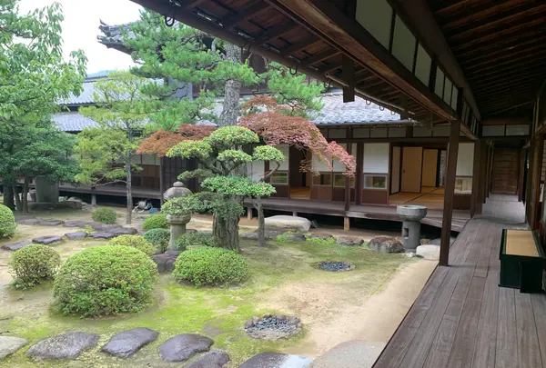 旧森川家住宅の写真・動画_image_371577