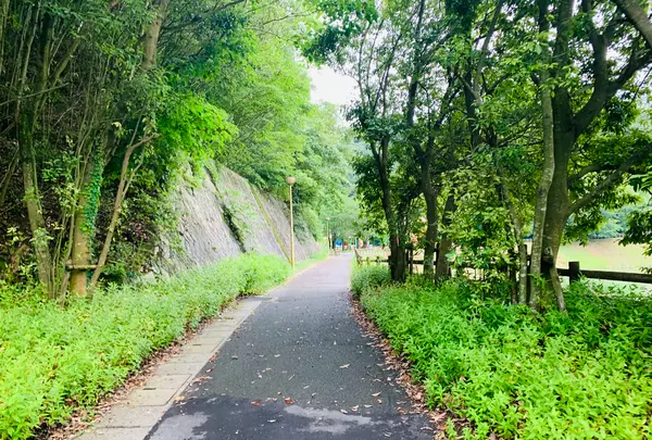 総合公園バンブージョイハイランドの写真・動画_image_371643
