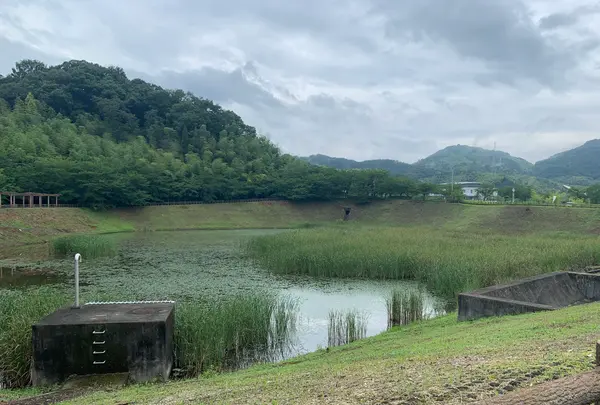 総合公園バンブージョイハイランドの写真・動画_image_371644
