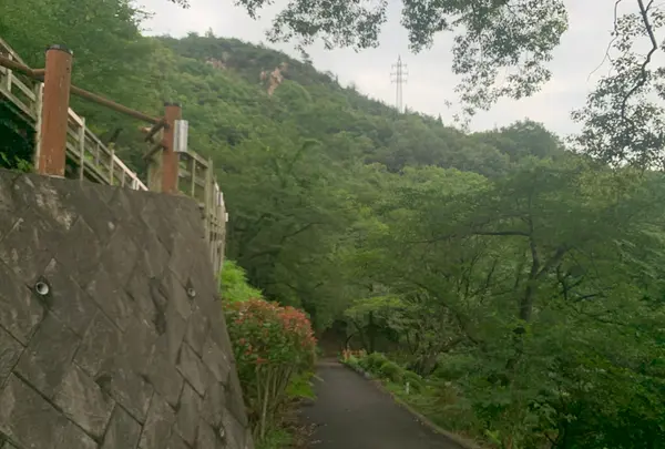 黒滝山の写真・動画_image_371650