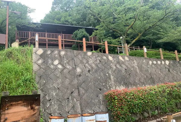 黒滝山の写真・動画_image_371655