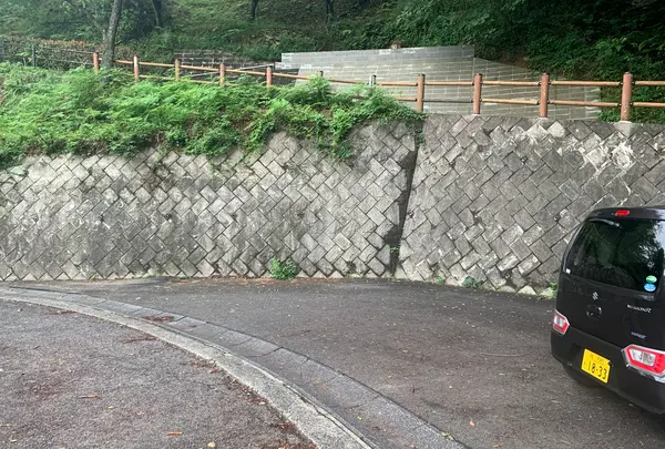 黒滝山の写真・動画_image_371656