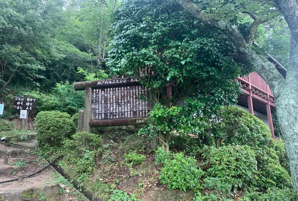 黒滝山の写真・動画_image_371659