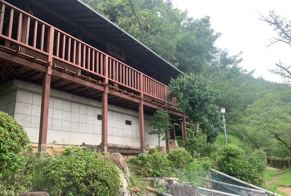 黒滝山の写真・動画_image_371660