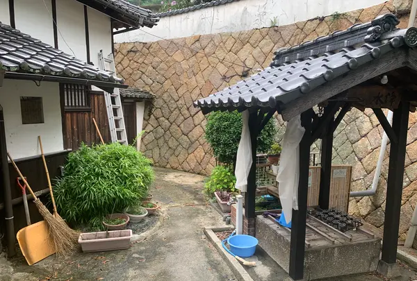 かぐや姫美術館の写真・動画_image_371671