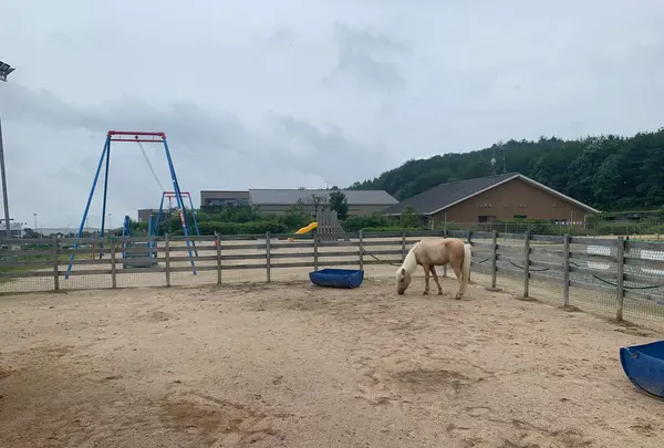 八天堂 カフェリエ （Hattendo Cafelie）の写真・動画_image_371705